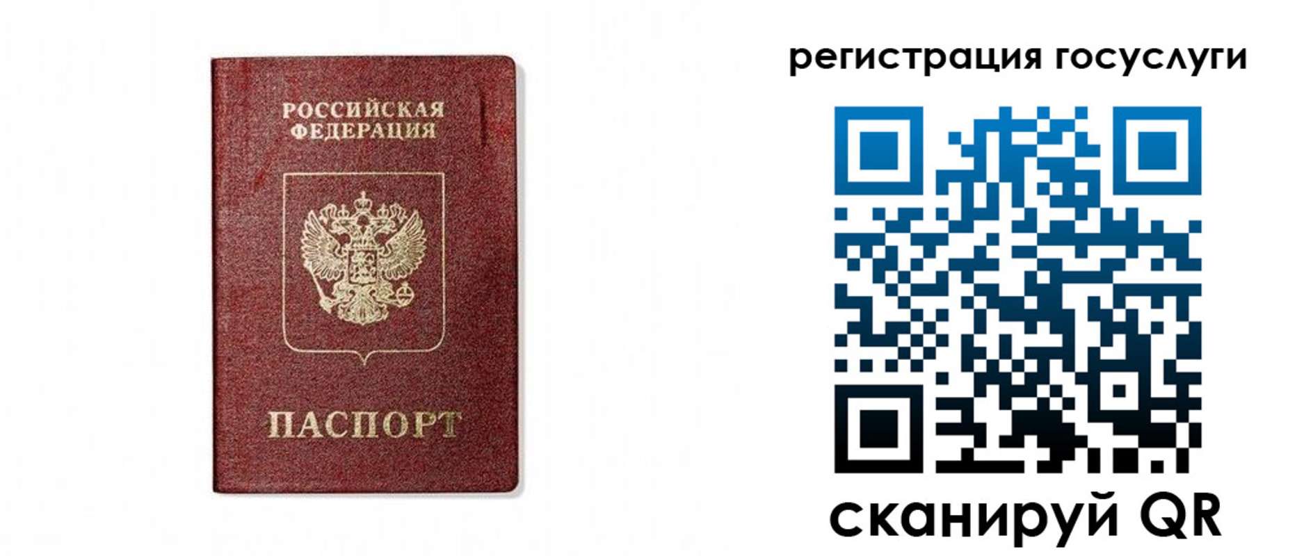 прописка паспорт в Новодвинске